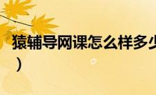 猿辅导网课怎么样多少钱（猿辅导网课怎么样）