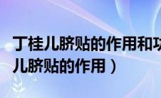丁桂儿脐贴的作用和功效大人可以用吗（丁桂儿脐贴的作用）