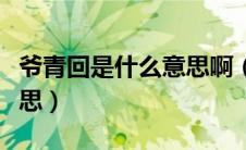 爷青回是什么意思啊（爷青回和爷青结什么意思）