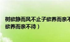 树欲静而风不止子欲养而亲不待选自哪（树欲静而风不止子欲养而亲不待）