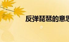 反弹琵琶的意思（反弹琵琶）