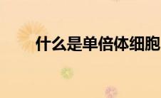什么是单倍体细胞（什么是单倍体）