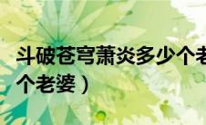 斗破苍穹萧炎多少个老婆（斗破苍穹萧炎有几个老婆）