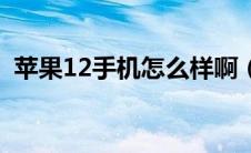 苹果12手机怎么样啊（苹果12手机怎么样）