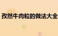 孜然牛肉粒的做法大全（牛肉粒的做法大全）