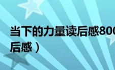 当下的力量读后感800字大学（当下的力量读后感）
