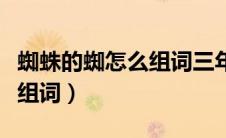 蜘蛛的蜘怎么组词三年级上册（蜘蛛的蜘怎么组词）