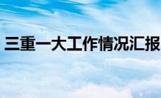三重一大工作情况汇报（三重一大工作总结）
