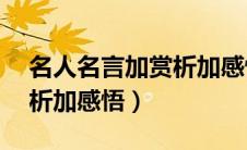 名人名言加赏析加感悟50字（名人名言加赏析加感悟）