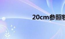 20cm参照物（20cm）