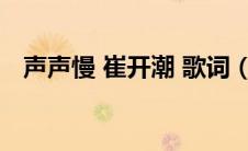 声声慢 崔开潮 歌词（声声慢歌词崔开潮）