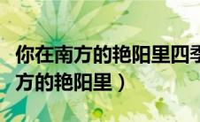 你在南方的艳阳里四季如春什么意思（你在南方的艳阳里）