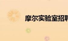 摩尔实验室招聘（摩尔实验）
