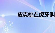 皮克桃在虎牙叫什么（皮克桃）