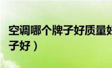 空调哪个牌子好质量好性价比高（空调哪个牌子好）
