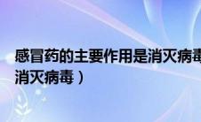 感冒药的主要作用是消灭病毒和细菌（感冒药的主要作用是消灭病毒）