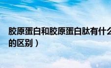 胶原蛋白和胶原蛋白肽有什么区别（胶原蛋白肽与胶原蛋白的区别）