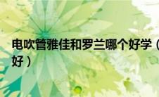 电吹管雅佳和罗兰哪个好学（雅佳电吹管与罗兰电吹管哪个好）