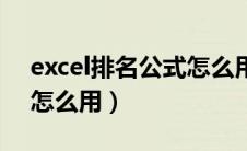 excel排名公式怎么用成绩（excel排名公式怎么用）