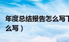 年度总结报告怎么写下一年（年度总结报告怎么写）