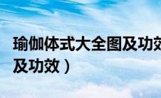 瑜伽体式大全图及功效动图（瑜伽体式大全图及功效）