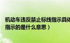 机动车违反禁止标线指示具体有哪些（机动车违反禁止标线指示的是什么意思）