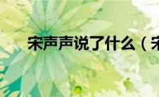 宋声声说了什么（宋声声经历了什么）