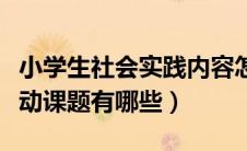 小学生社会实践内容怎么写（小学综合实践活动课题有哪些）