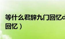 等什么君辞九门回忆dj歌曲（等什么君辞九门回忆）