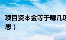 项目资本金等于哪几项（项目资本金是什么意思）