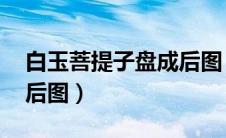 白玉菩提子盘成后图 包浆（白玉菩提子盘成后图）