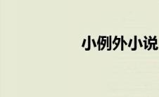 小例外小说（小例外）