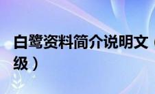 白鹭资料简介说明文（白鹭说明文500字五年级）