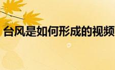 台风是如何形成的视频（台风是如何形成的）