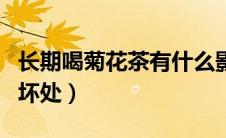 长期喝菊花茶有什么影响（长喝菊花茶好处和坏处）