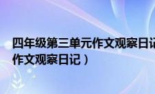 四年级第三单元作文观察日记400字绿豆（四年级第三单元作文观察日记）