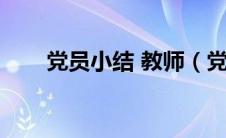 党员小结 教师（党员个人小结教师）