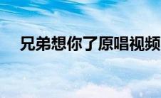 兄弟想你了原唱视频（兄弟想你了原唱）
