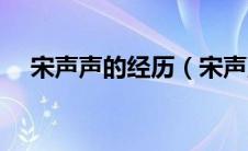 宋声声的经历（宋声声到底经历了什么）