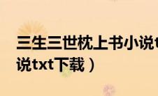 三生三世枕上书小说txt（三生三世枕上书小说txt下载）