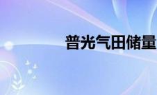 普光气田储量（普光气田）