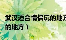 武汉适合情侣玩的地方室内（武汉适合情侣玩的地方）