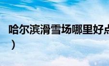 哈尔滨滑雪场哪里好点（哈尔滨滑雪场哪里好）