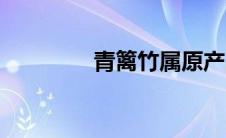 青篱竹属原产国（青篱竹）