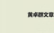 黄卓群文章（黄卓群）