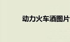 动力火车酒图片（动力火车酒）