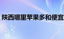 陕西哪里苹果多和便宜（陕西苹果哪里最好）