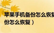 苹果手机备份怎么恢复聊天记录（苹果手机备份怎么恢复）