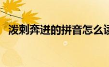 泼剌奔迸的拼音怎么读（泼剌奔迸的意思）