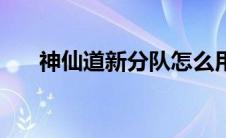 神仙道新分队怎么用（神仙道小分队）